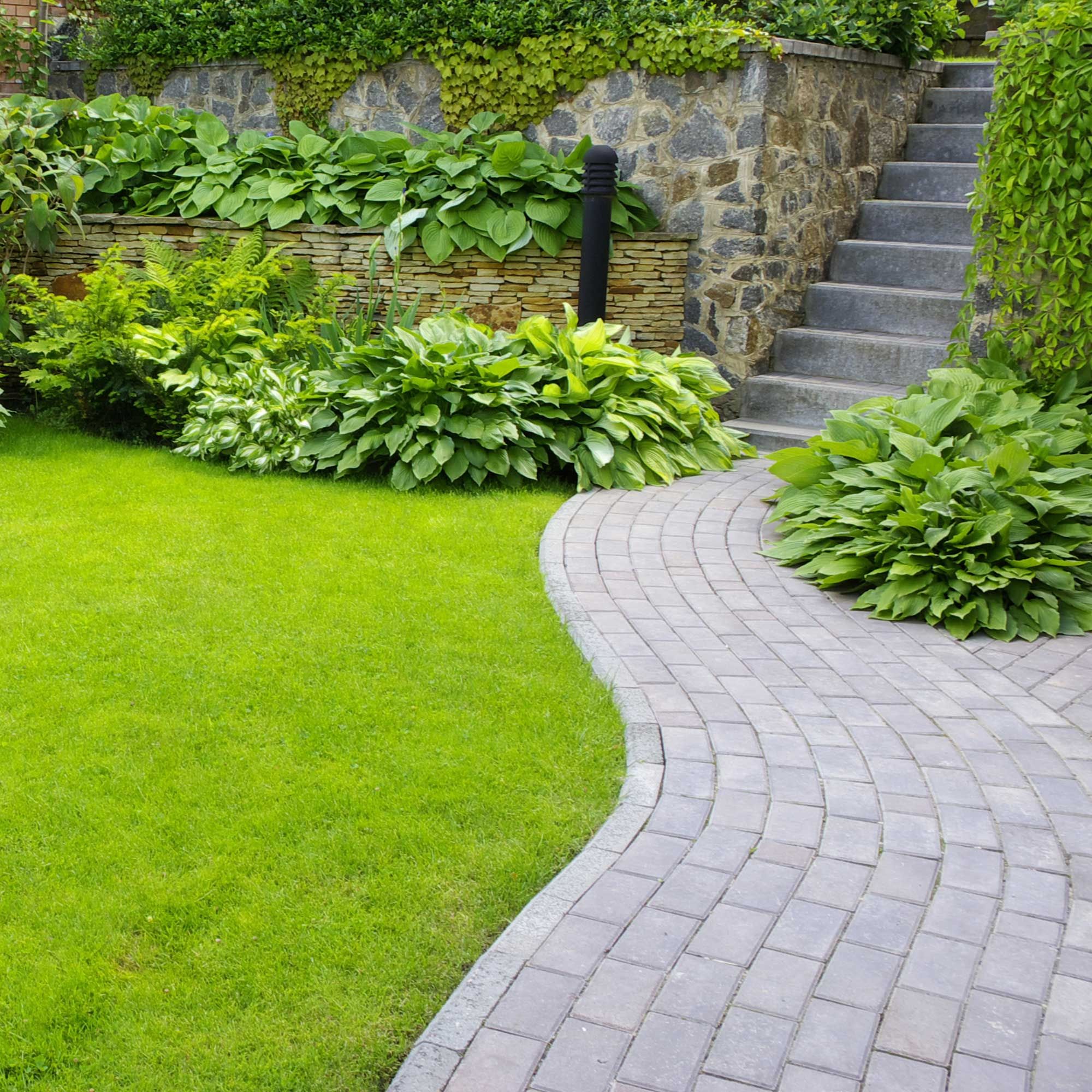 Garten mit gemähtem Rasen und Pflanzen